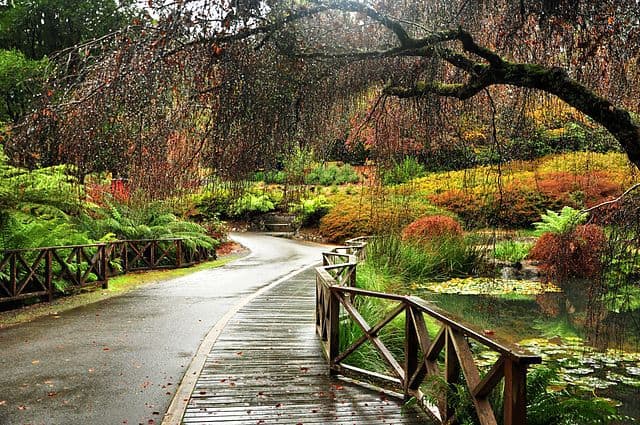 Dandenong-Ranges-Hiking-Walking-Trails