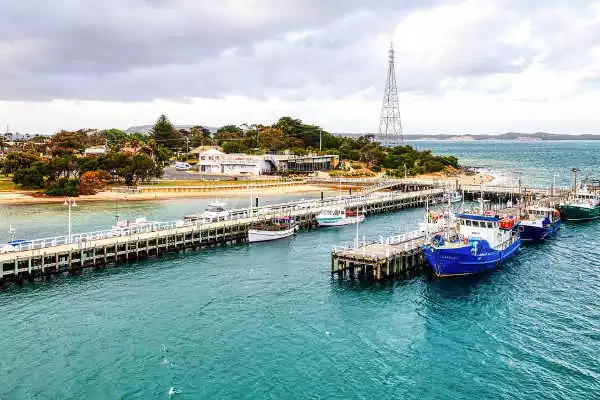 7 Must-Do Activities on Phillip Island