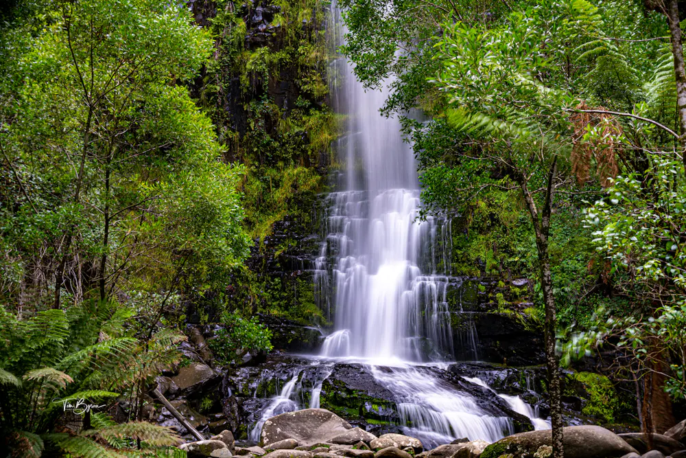 Experience the Majesty of One of the Great Ocean Road's Tallest Waterfalls (Erskine Falls)