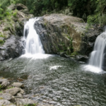 Beautiful waterfalls near Cairns where you can cool off