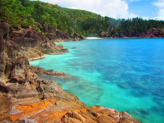 Hook Island Whitsunday Queensland - Kookro
