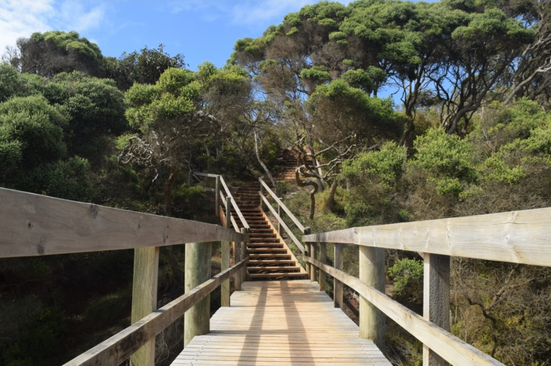 Ironbark Basin Walk. - Kookro