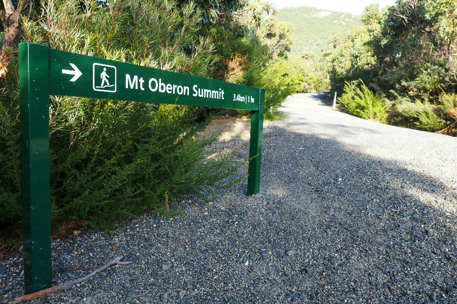 Mount Oberon Summit Walk - Kookro