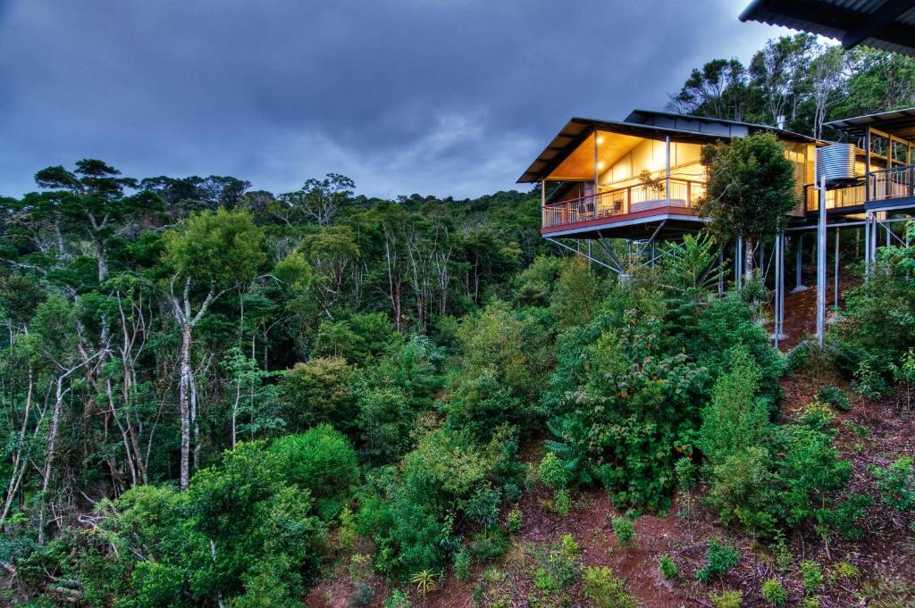 O'Reilly's Rainforest Retreat Gold coast Brisbane - Kookro