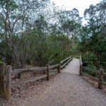 Top Nature Walks Around Melbourne for Fresh Air - Kookro