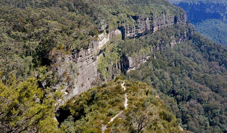 Explore some of the top walks in the Blue Mountains, including the challenging Mount Solitary hike, offering breathtaking views and unforgettable experiences.