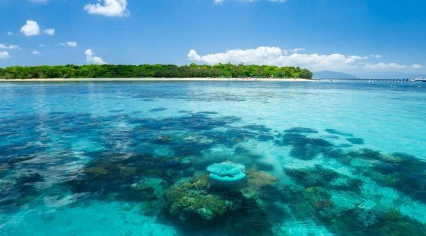 Be Reef Conscious at Green Island, Cairns, Queensland