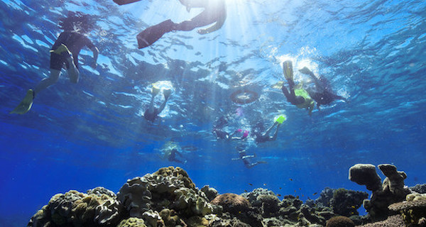 Bring your own snorkeling equipment, Green Island, Cairns, Queensland