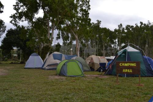 Camping on Dunk Island, Cairns, Queensland - Kookro