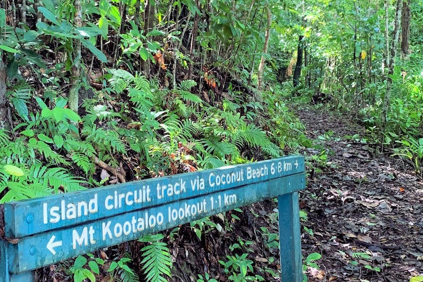 Dunk Island Circuit Track, Cairns, Queensland, Australia - Kookro