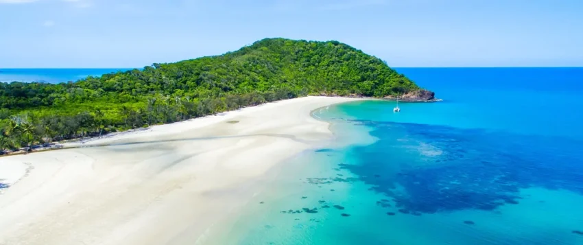Top Things to Do in Cape Tribulation & the Daintree, Cairns