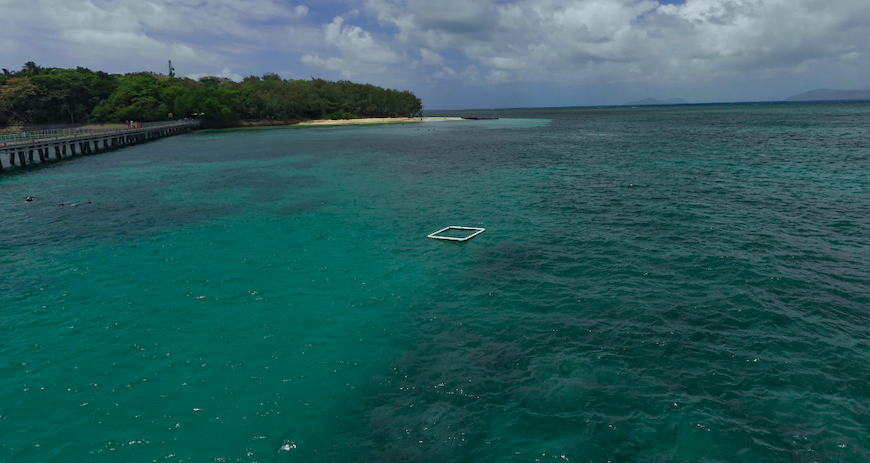Try snorkeling or diving at the Pinnacle, floating PVC structure, Cairns, Queensland