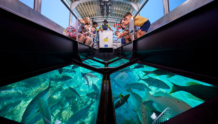 glass bottom boat green island, Cairns, Queensland copy