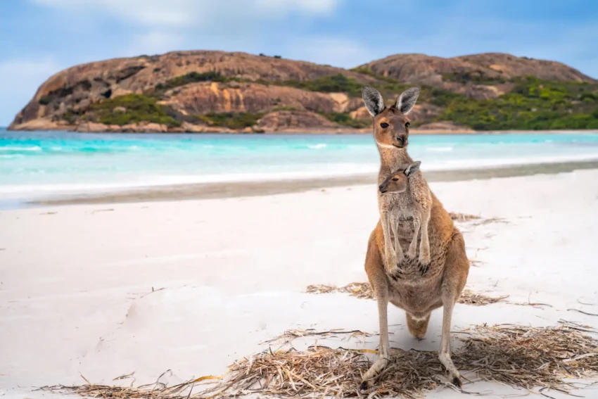 10 Top things to do in Esperance, Western Australia
